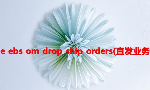 Oracle EBS OM Drop Ship Orders(直发业务)测试